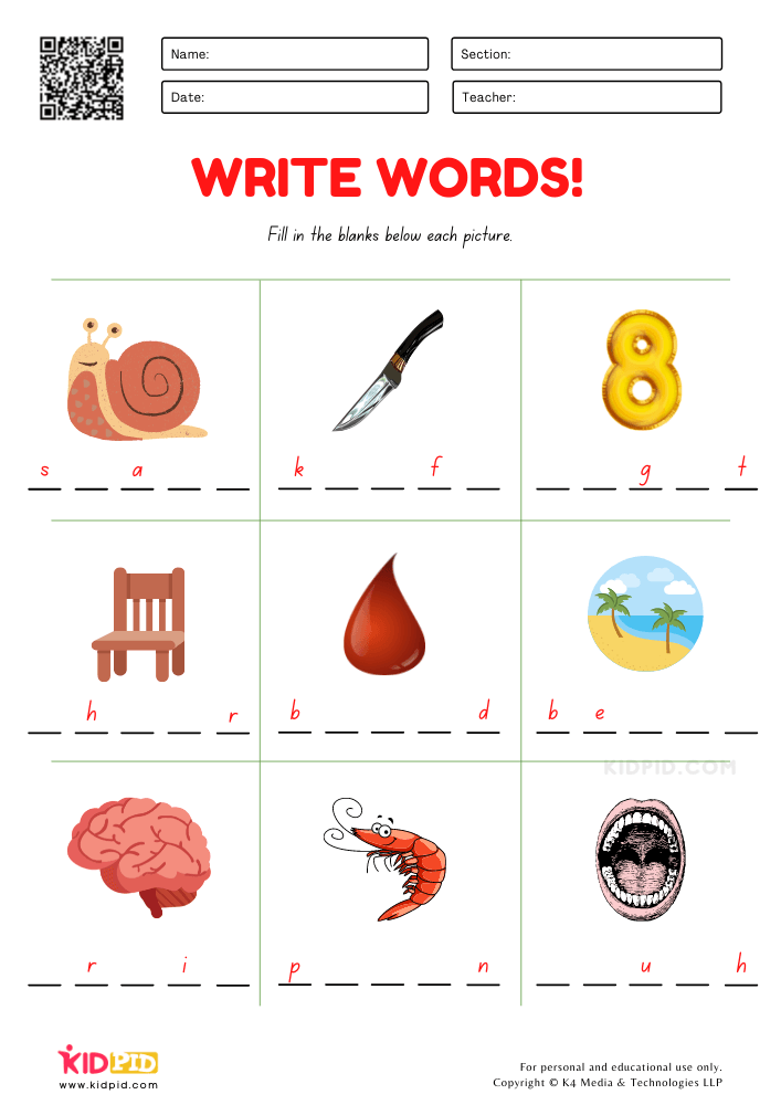 Write 5 Letter Words Worksheet for Grade 2