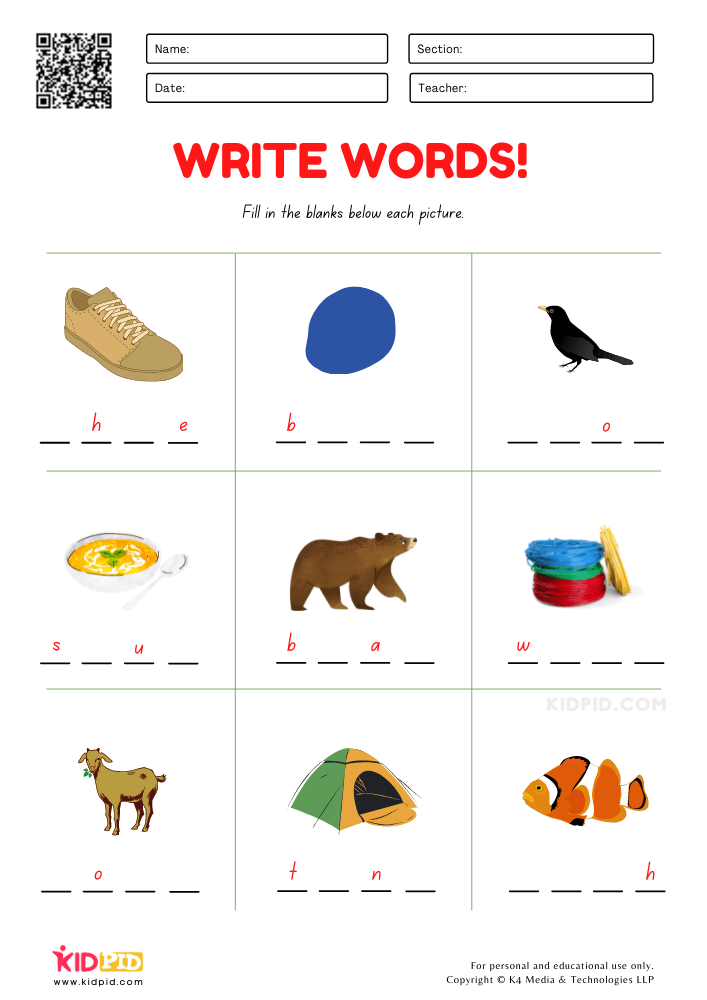 Write 4 Letter Words Worksheet for Grade 1 - Kidpid