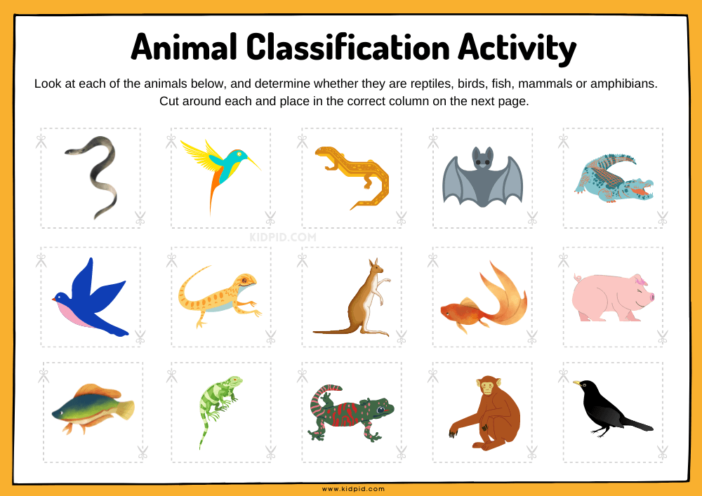 Animal Classification Sorting Worksheet - Kidpid