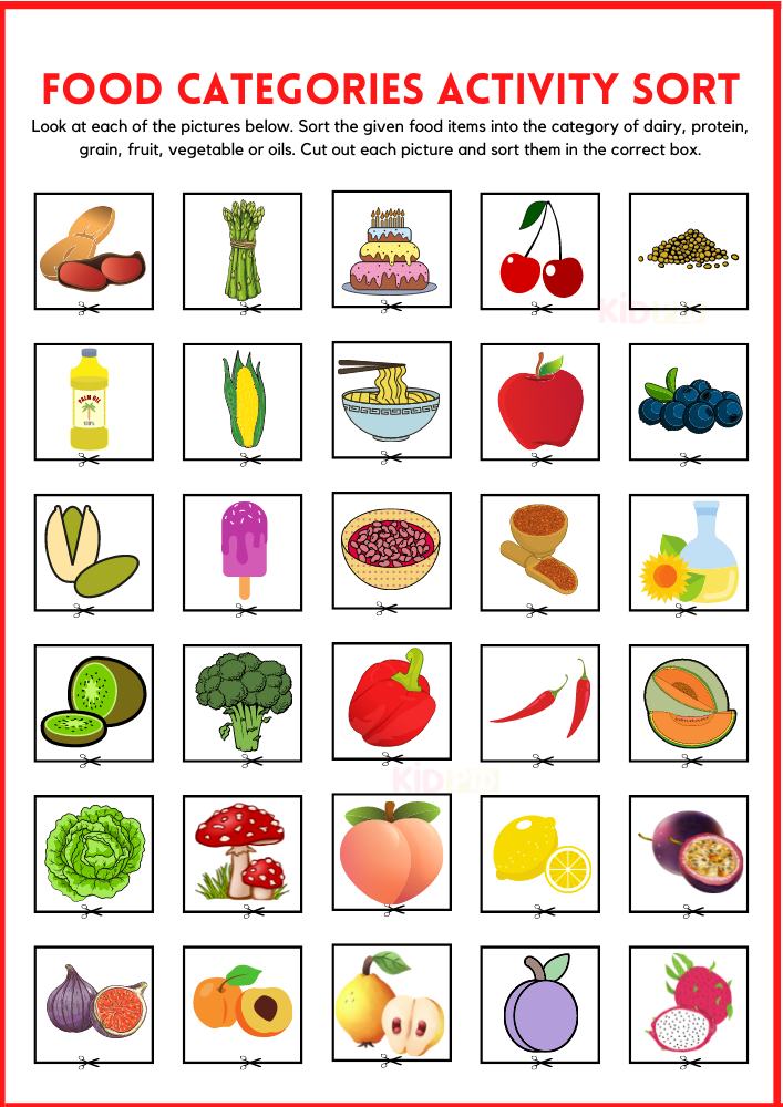 Food Categories Activity Sorting Printable Worksheets List of Food Items 4