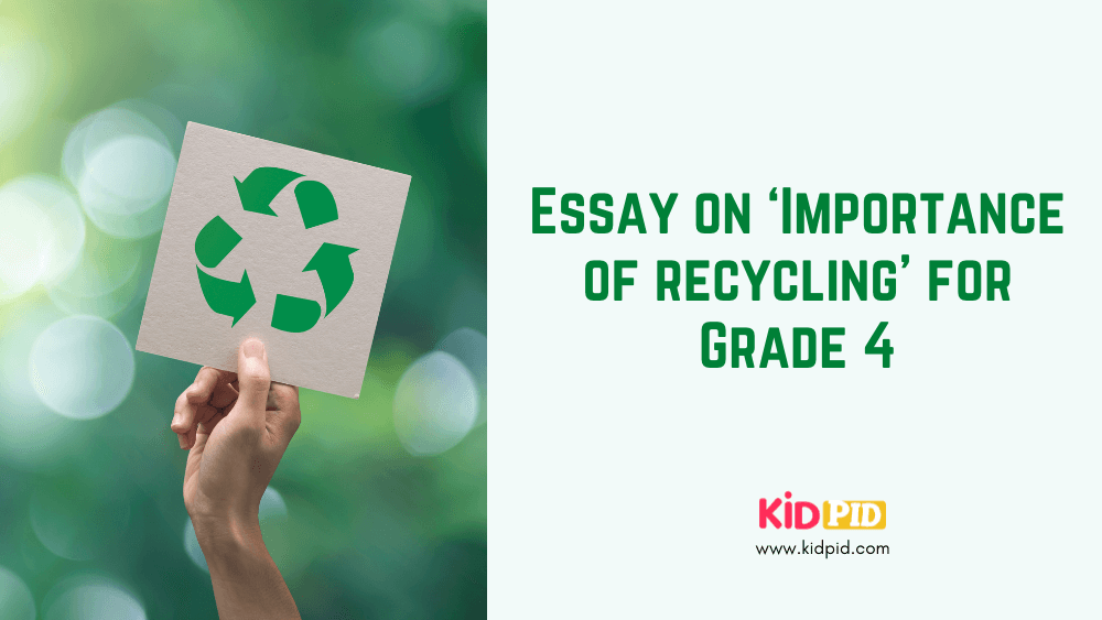 school recycling essay