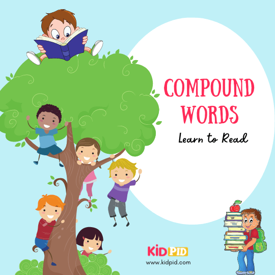 Compound Words: Learn to Read