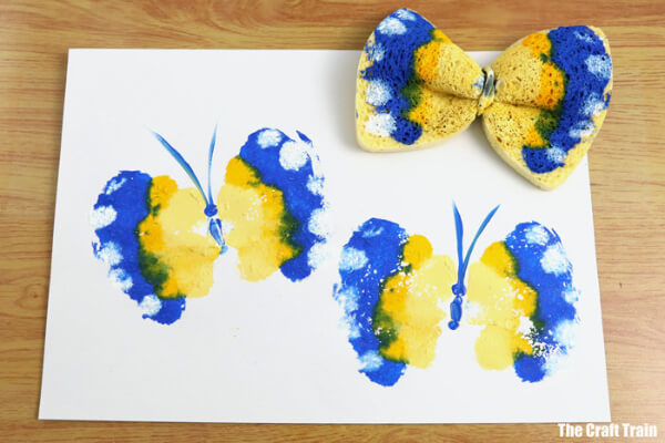 Butterfly Sponges
