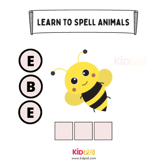 learn-to-spell-animals