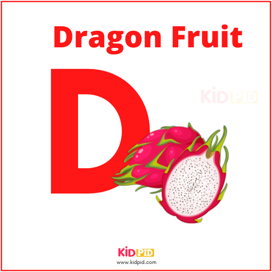 D For Dragon Fruit Alphabet