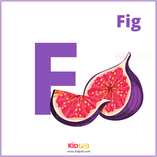 F For Fig Fruit Alphabet