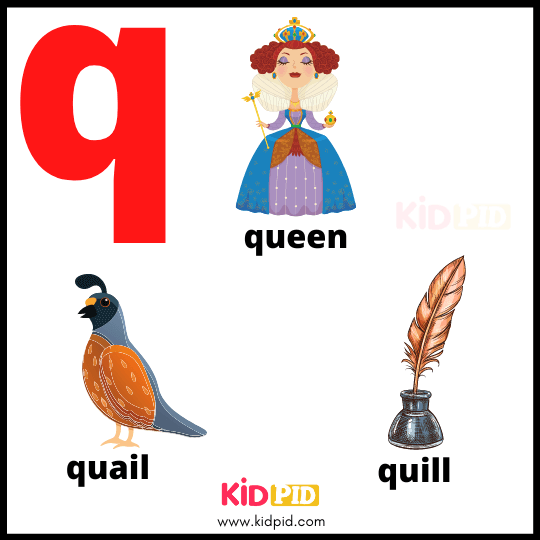 Alphabet Of Q