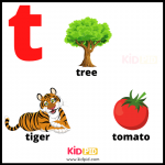 First Words Book (A to Z) for Toddlers - Kidpid