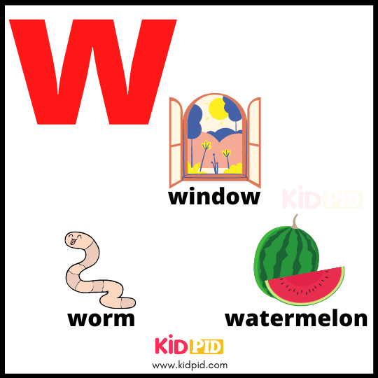 Alphabet Of W