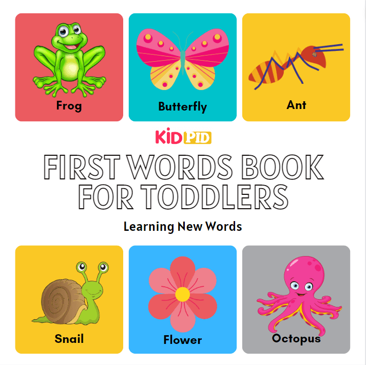 First Alphabetic Words Book 
