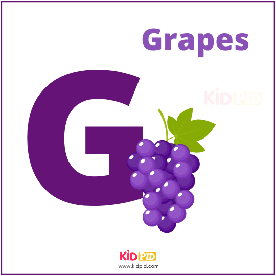 G For Grapes Fruit Alphabet