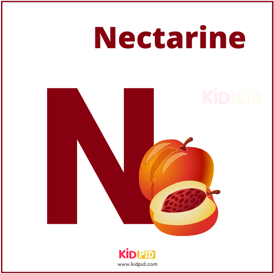 N For Nectarine Fruit Alphabet