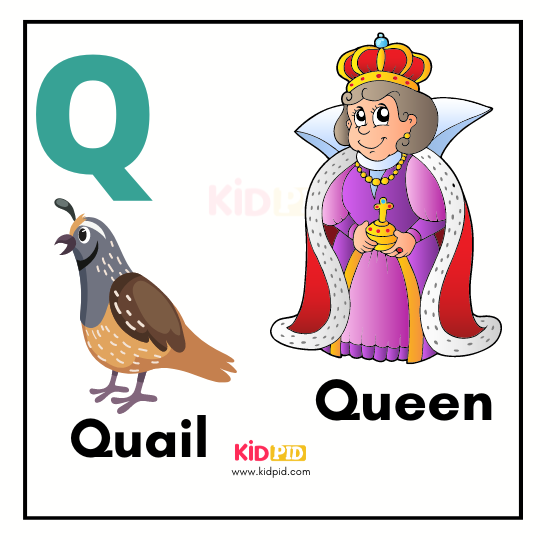 Q Vocabulary Book