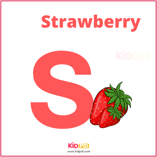 S For Strawberry Fruit Alphabet