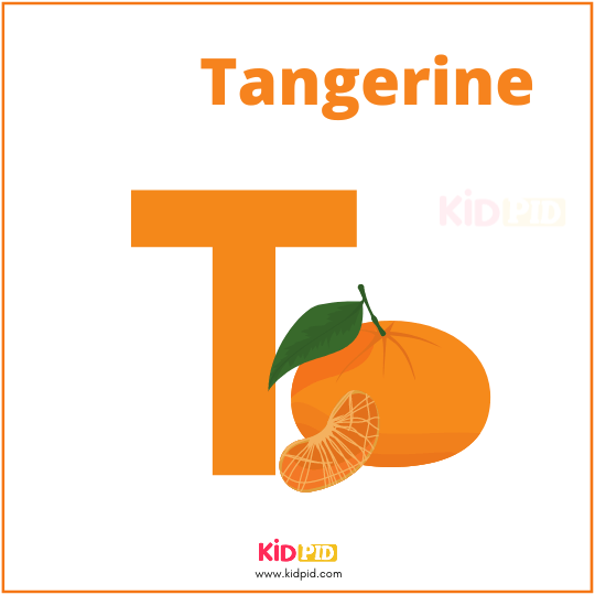 T For Tangerine Fruit Alphabet