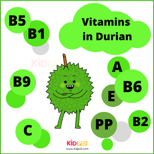 Vitamins In Durian
