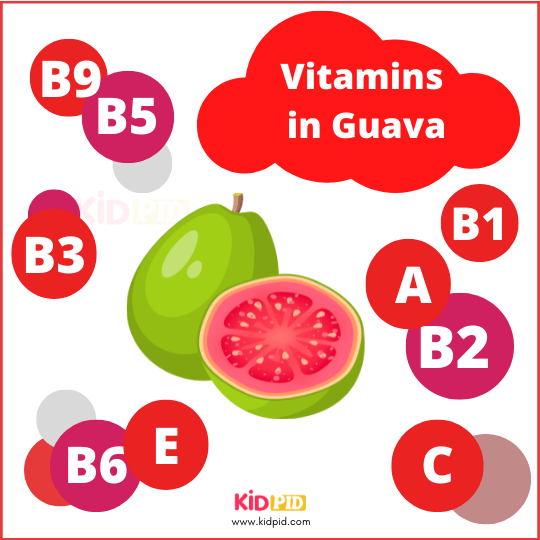 Vitamins In Guava