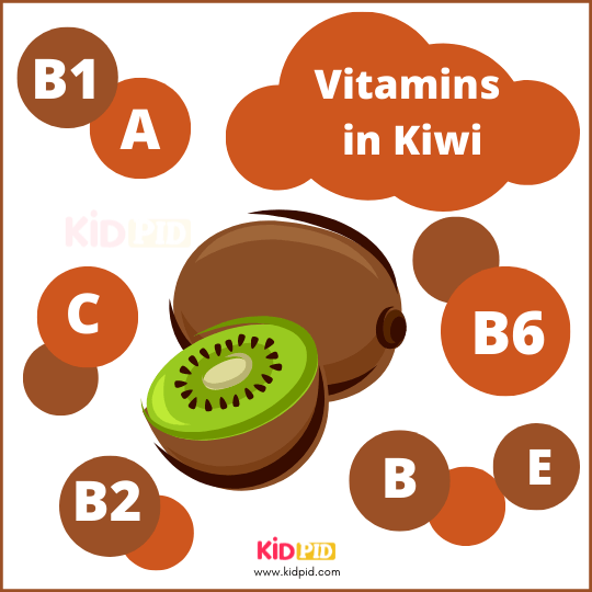 Vitamins In Kiwi