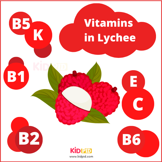 Vitamins In Lychee