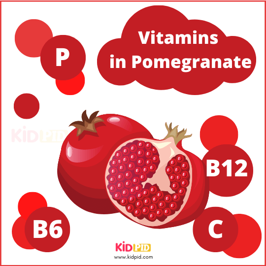 Vitamins In Pomegranate