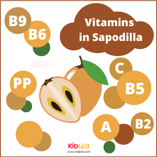 Vitamins In Sapodilla