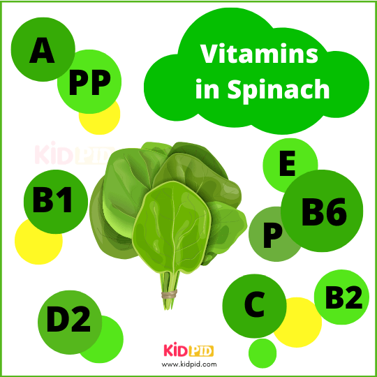 Vitamins In Spinach