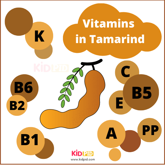 Vitamins In Tamarind