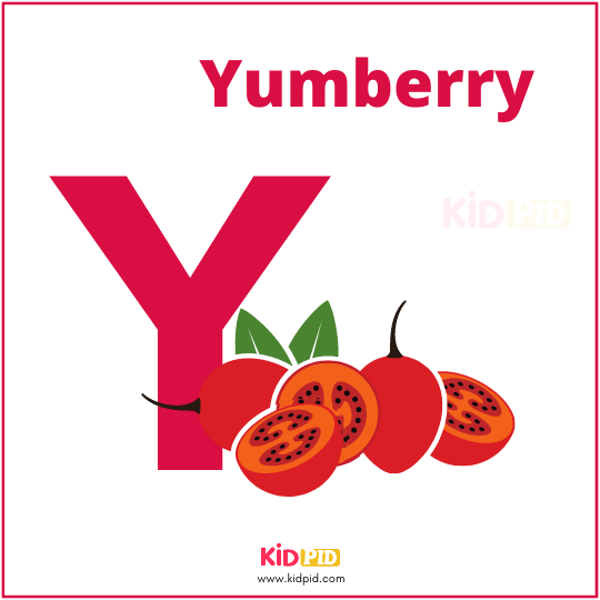 Y For Yumberry Fruit Alphabet