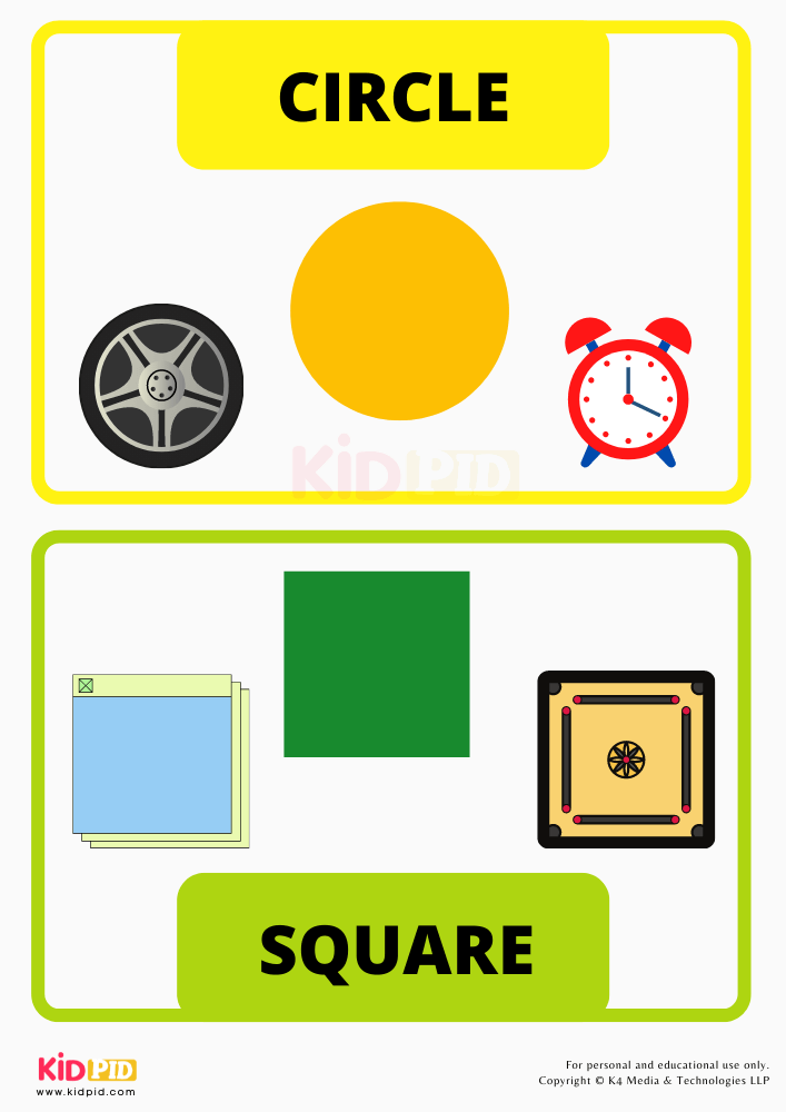 My First Book of Shapes- Circle And Square