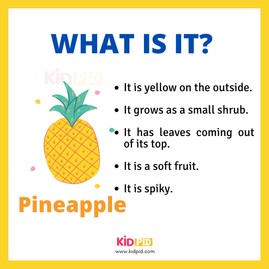  What is it Pineapple