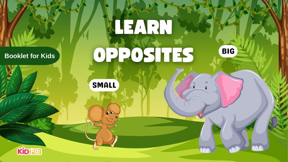 Learn Opposite Words Featured Image