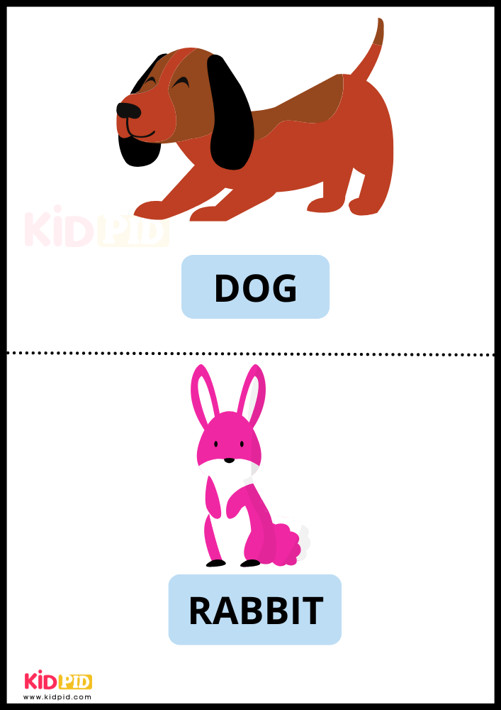 Farm Animals Dog & Rabbit