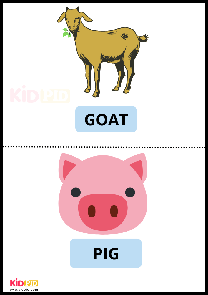 Farm Animals Goat & Pig