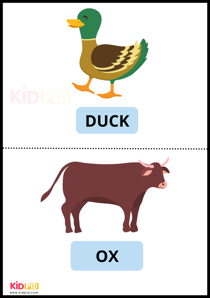 Farm Animals Duck & Ox