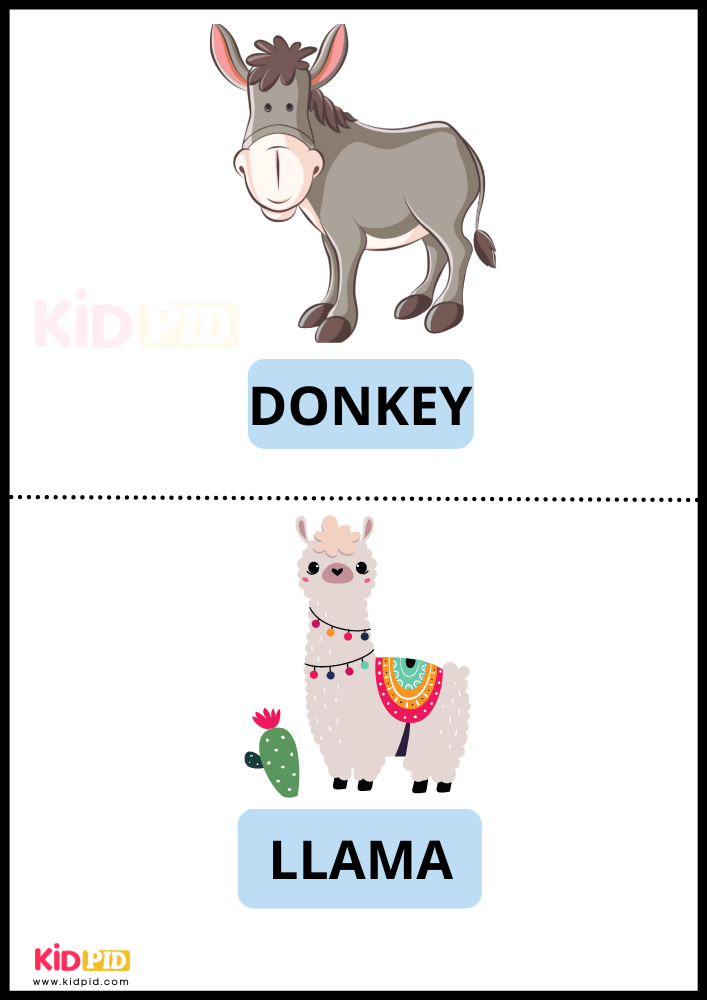 Farm Animals Donkey & Llama