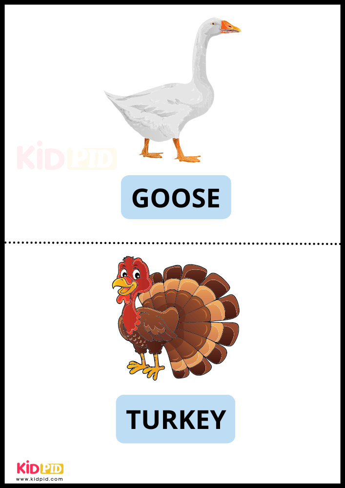 Farm Animals Goose & Turkey