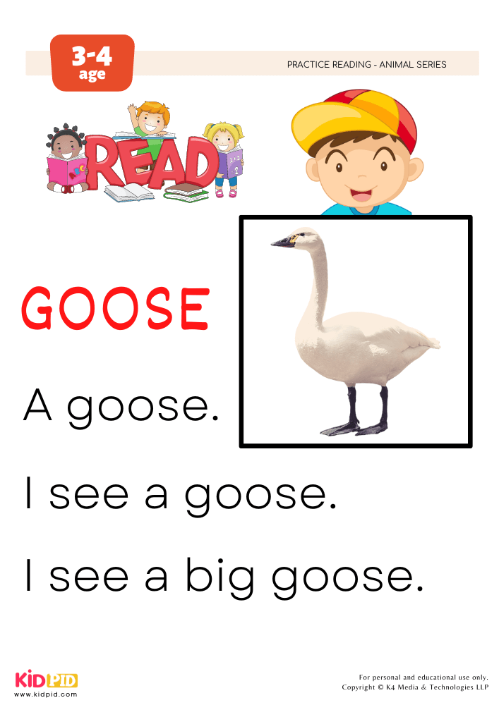 Let's Read Goose