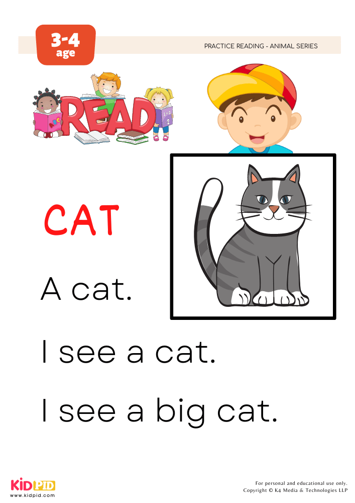 Let's Read Cat