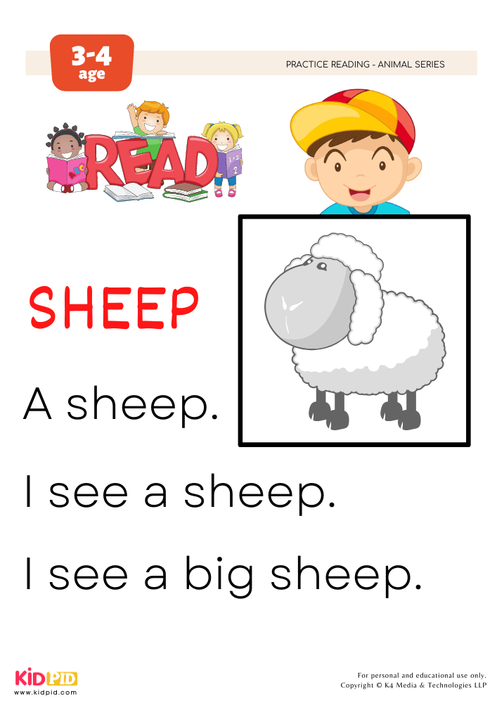 Let's Read Sheep