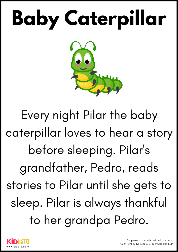 Baby Caterpillar Story 