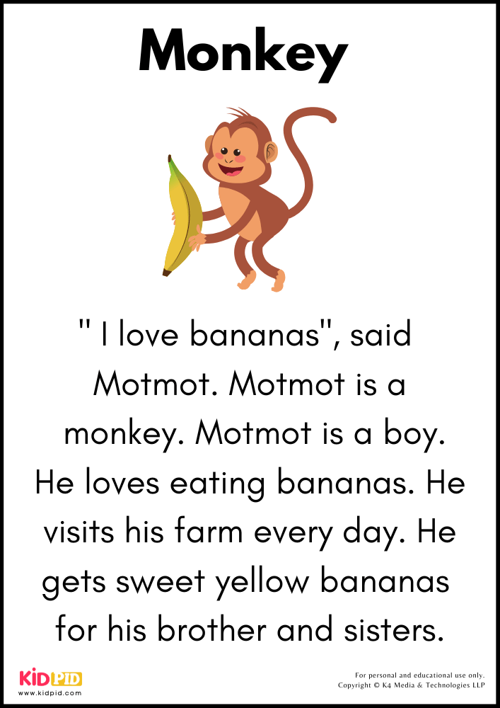 Monkey Story 