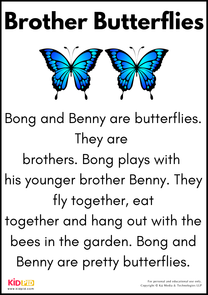 Brother Butterflies Story 
