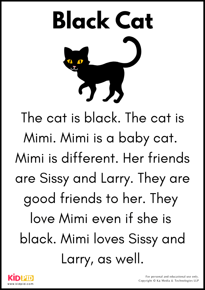 Black Cat Story 
