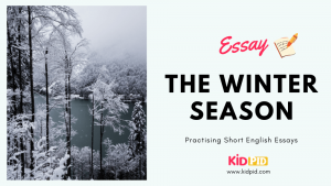 Essay: The Winter Season Featured Image