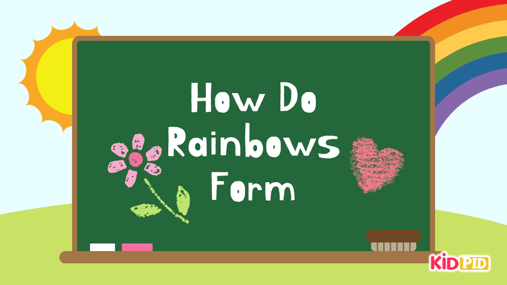 How Do Rainbows Form? Featured Image