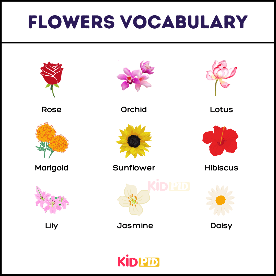 Flowers Vocabulary-1
