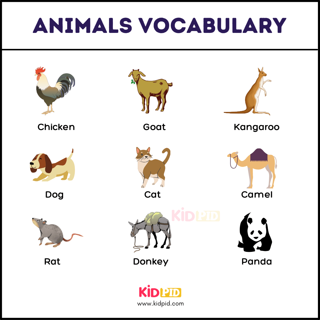 3-Animals Name With Pictures