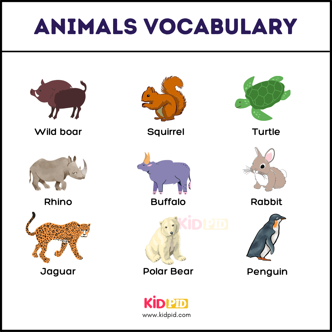 4-Animals Name With Pictures