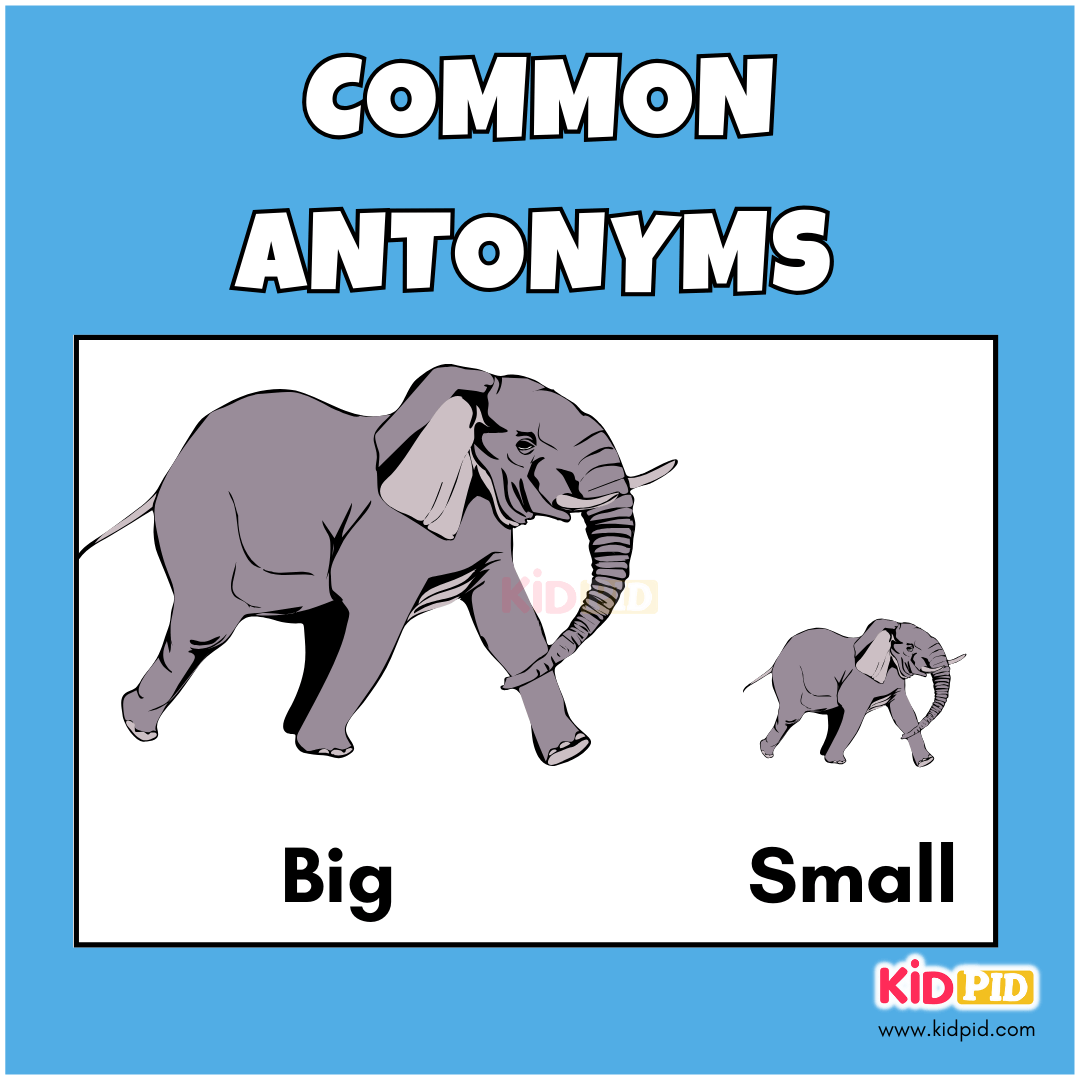 Big - Small - Common Antonyms