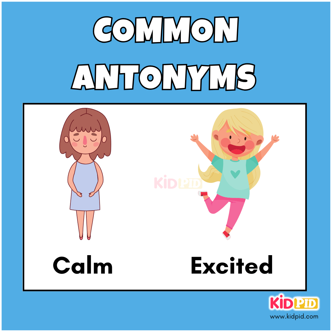 Calm - Excited - Common Antonyms